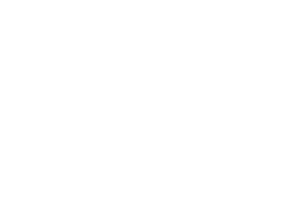 An illustrated gif where a speech bubble with a quote appears it reads: “the nature of the block grant dollars themselves is [to be] a facilitator.”
